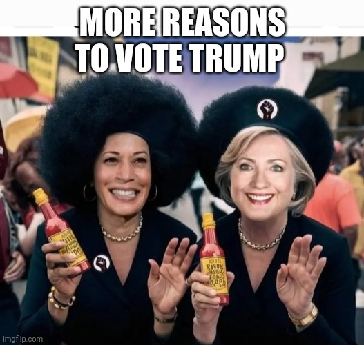MORE REASONS TO VOTE TRUMP | made w/ Imgflip meme maker