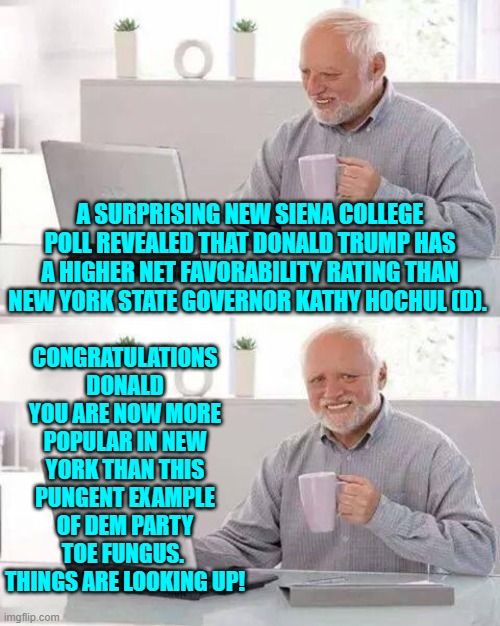 Well seriously people. Hochul is about as popular as a STD or maybe a bowl of cold grits. | CONGRATULATIONS DONALD YOU ARE NOW MORE POPULAR IN NEW YORK THAN THIS PUNGENT EXAMPLE OF DEM PARTY TOE FUNGUS.  THINGS ARE LOOKING UP! A SURPRISING NEW SIENA COLLEGE POLL REVEALED THAT DONALD TRUMP HAS A HIGHER NET FAVORABILITY RATING THAN NEW YORK STATE GOVERNOR KATHY HOCHUL (D). | image tagged in hide the pain harold | made w/ Imgflip meme maker