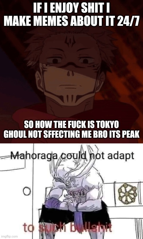IF I ENJOY SHIT I MAKE MEMES ABOUT IT 24/7; SO HOW THE FUCK IS TOKYO GHOUL NOT SFFECTING ME BRO ITS PEAK | image tagged in ghost when i catch you ghost,mahoraga could not adapt to such bullshit | made w/ Imgflip meme maker