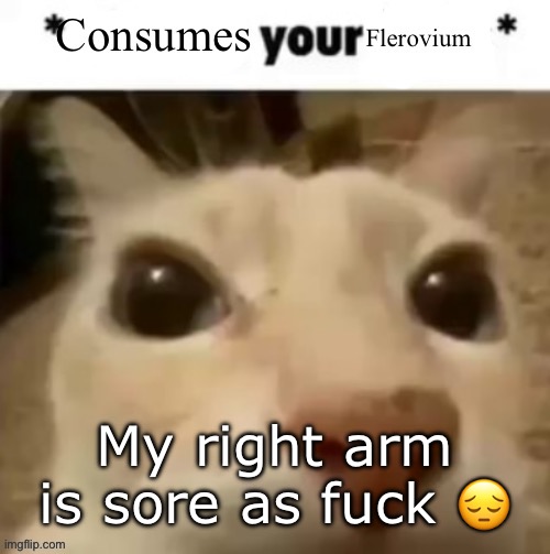 Yakko consumes your flerovium | My right arm is sore as fuck 😔 | image tagged in yakko consumes your flerovium | made w/ Imgflip meme maker