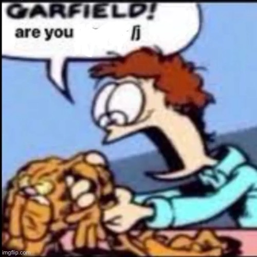 Garfield are you /srs or /j | image tagged in garfield are you /srs or /j | made w/ Imgflip meme maker