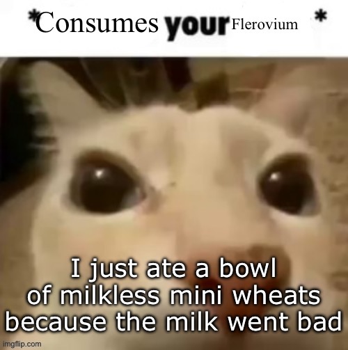 Yakko consumes your flerovium | I just ate a bowl of milkless mini wheats because the milk went bad | image tagged in yakko consumes your flerovium | made w/ Imgflip meme maker