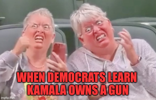 Democrats | WHEN DEMOCRATS LEARN 
KAMALA OWNS A GUN | image tagged in democrats | made w/ Imgflip meme maker