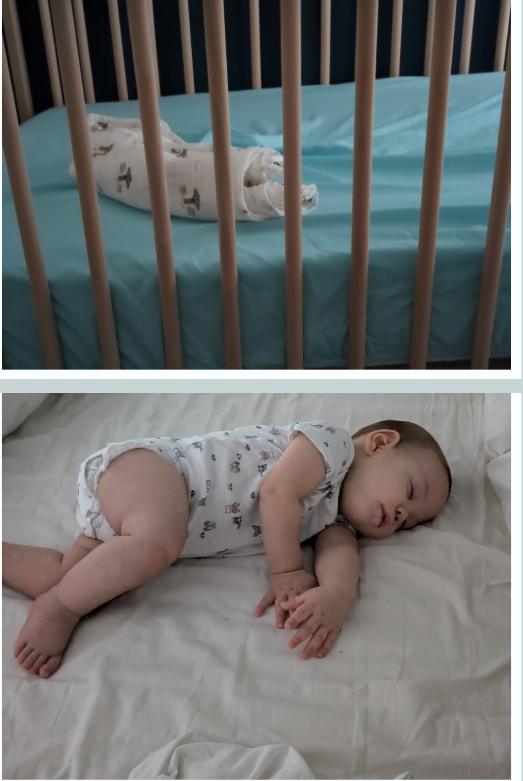 High Quality Crib...neverrrr Blank Meme Template