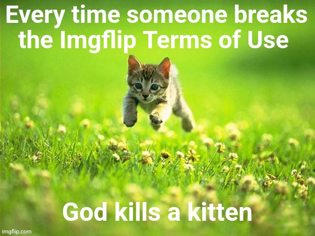 WHOLESOME KITTEN WEEK™ | Every time someone breaks the Imgflip Terms of Use God kills a kitten | image tagged in every time i smile god kills a kitten | made w/ Imgflip meme maker