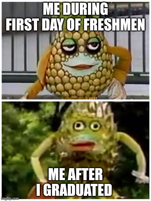 Ananas comparison | ME DURING FIRST DAY OF FRESHMEN; ME AFTER I GRADUATED | image tagged in ananas comparison,so true,college,relatable,funny | made w/ Imgflip meme maker