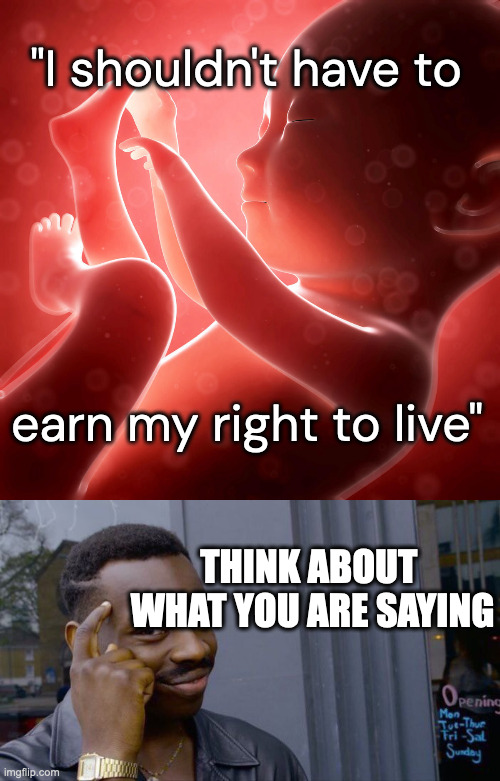 "I shouldn't have to earn my right to live" THINK ABOUT 
WHAT YOU ARE SAYING | image tagged in baby fetus,memes,roll safe think about it | made w/ Imgflip meme maker