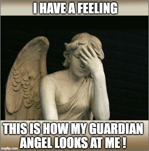 Someone's Looking Down On Me ! | I HAVE A FEELING; THIS IS HOW MY GUARDIAN
ANGEL LOOKS AT ME ! | image tagged in guardian angel,face palm | made w/ Imgflip meme maker