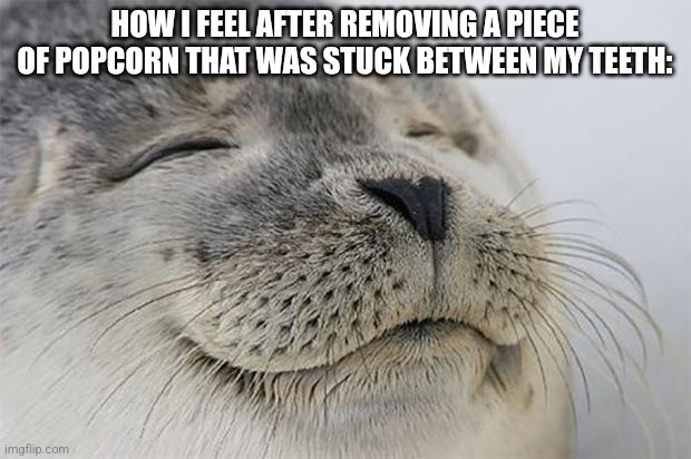 Satisfied Seal Meme | HOW I FEEL AFTER REMOVING A PIECE OF POPCORN THAT WAS STUCK BETWEEN MY TEETH: | image tagged in memes,satisfied seal,popcorn,funny | made w/ Imgflip meme maker