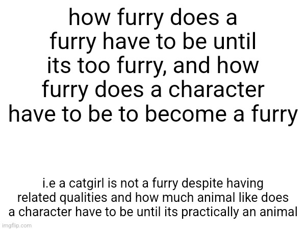 how furry does a furry have to be until its too furry, and how furry does a character have to be to become a furry; i.e a catgirl is not a furry despite having related qualities and how much animal like does a character have to be until its practically an animal | made w/ Imgflip meme maker
