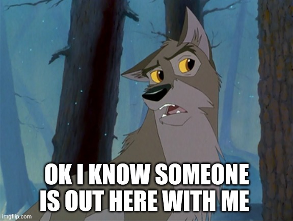 I Know Someone Is Out Here With Me | OK I KNOW SOMEONE IS OUT HERE WITH ME | image tagged in balto | made w/ Imgflip meme maker