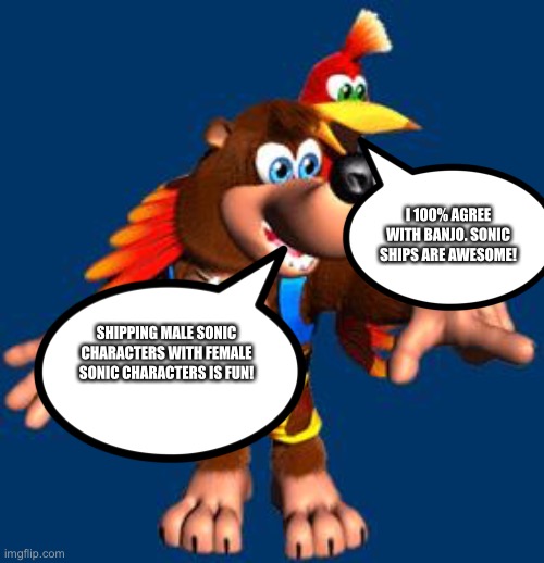 Even Banjo and Kazooie love Shipping Male Sonic characters with Female sonic characters | I 100% AGREE WITH BANJO. SONIC SHIPS ARE AWESOME! SHIPPING MALE SONIC CHARACTERS WITH FEMALE SONIC CHARACTERS IS FUN! | image tagged in banjo-kazooie | made w/ Imgflip meme maker