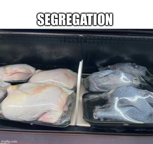 SEGREGATION | made w/ Imgflip meme maker