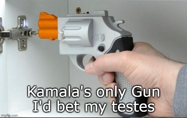 Kamala's only Gun
I'd bet my testes | made w/ Imgflip meme maker