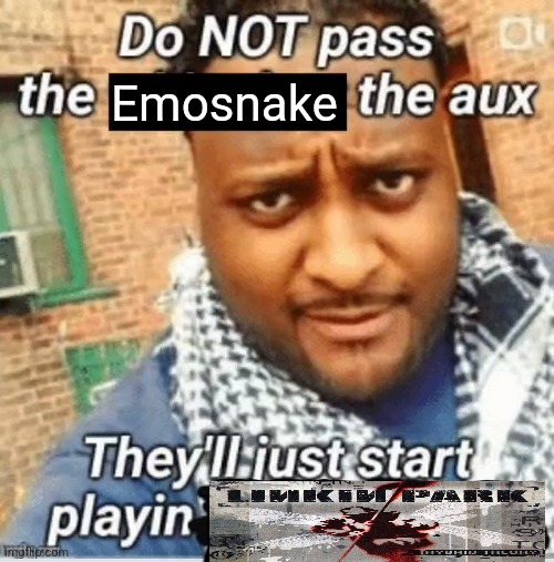 Do not pass the X the aux They’ll just start playin Y | Emosnake | image tagged in do not pass the x the aux they ll just start playin y | made w/ Imgflip meme maker