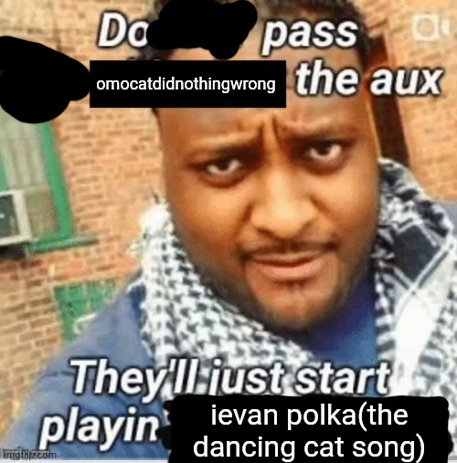 do pass x the aux they'll just start playing y | omocatdidnothingwrong; ievan polka(the dancing cat song) | image tagged in do pass x the aux they'll just start playing y | made w/ Imgflip meme maker