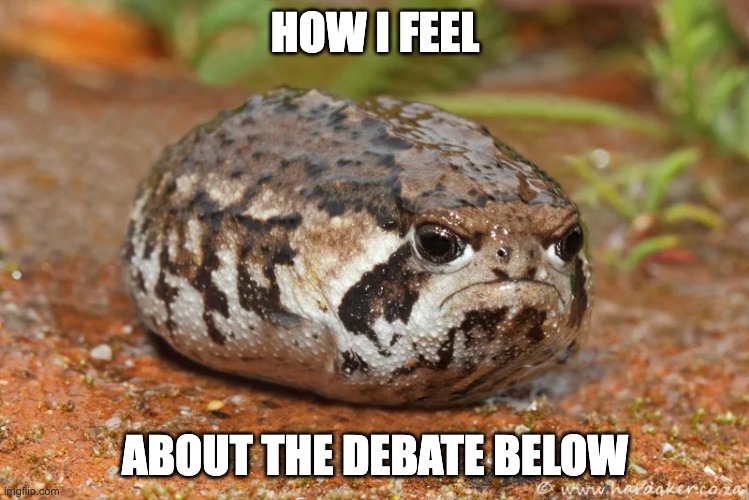 sorry | HOW I FEEL; ABOUT THE DEBATE BELOW | image tagged in angry toad with no legs | made w/ Imgflip meme maker