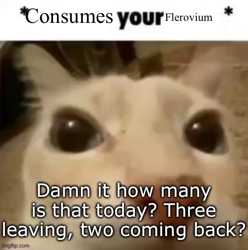 Yakko consumes your flerovium | Damn it how many is that today? Three leaving, two coming back? | image tagged in yakko consumes your flerovium | made w/ Imgflip meme maker