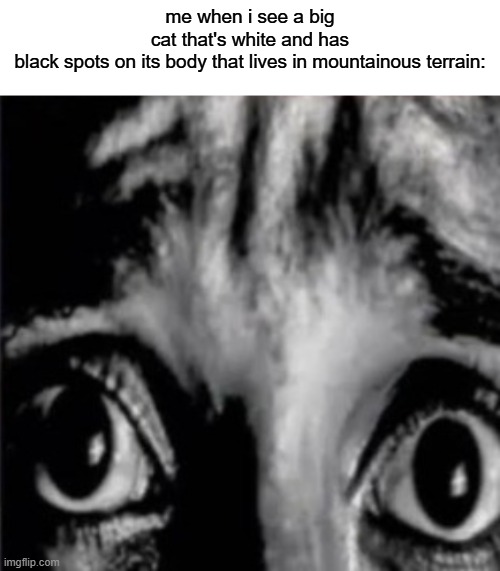 if its bipedal with green eyes than im just gonna hide | me when i see a big cat that's white and has black spots on its body that lives in mountainous terrain: | image tagged in mfw when the fog finally arrives lmao | made w/ Imgflip meme maker