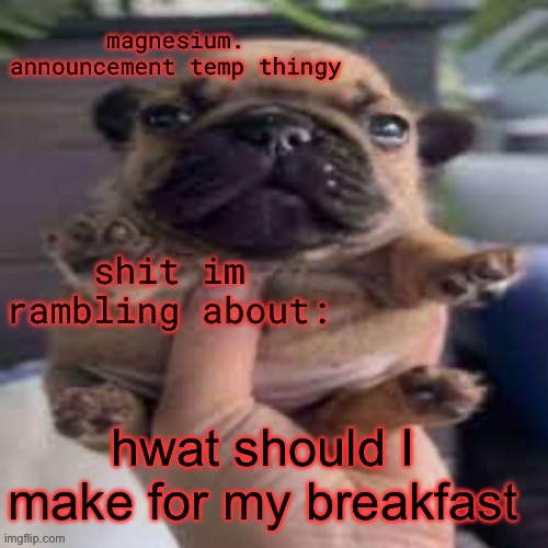pug temp | hwat should I make for my breakfast | image tagged in pug temp | made w/ Imgflip meme maker