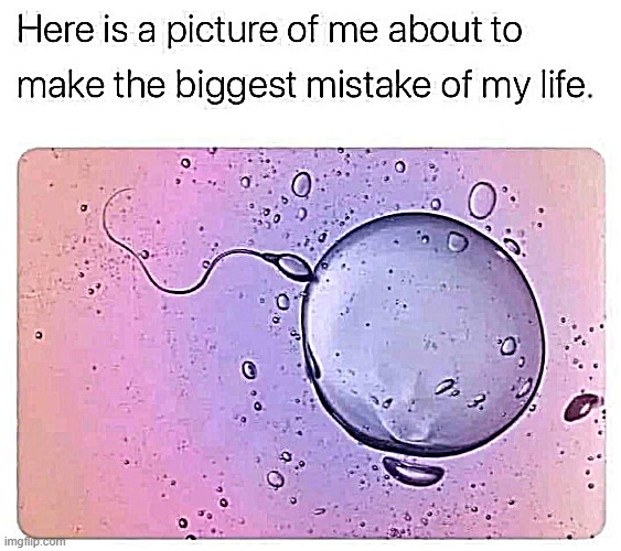Good swimmer ! | image tagged in hard choice to make | made w/ Imgflip meme maker