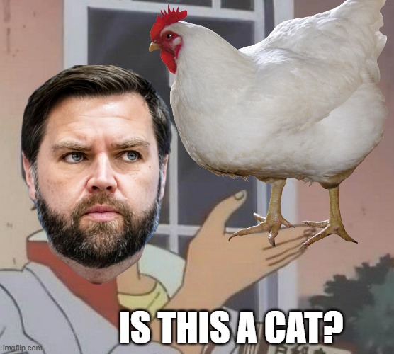 Hello, fellow humans, I am  normal J.D. Vance human. Let us all go to the store of the donuts to purchase mass quantities. | IS THIS A CAT? | image tagged in memes,is this a pigeon,jd vance | made w/ Imgflip meme maker
