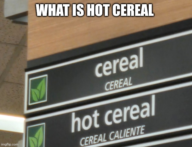 What the | WHAT IS HOT CEREAL | image tagged in blank white template | made w/ Imgflip meme maker