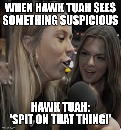 Hawk Tuah | WHEN HAWK TUAH SEES SOMETHING SUSPICIOUS; HAWK TUAH: 'SPIT ON THAT THING!' | image tagged in hawk tuah | made w/ Imgflip meme maker