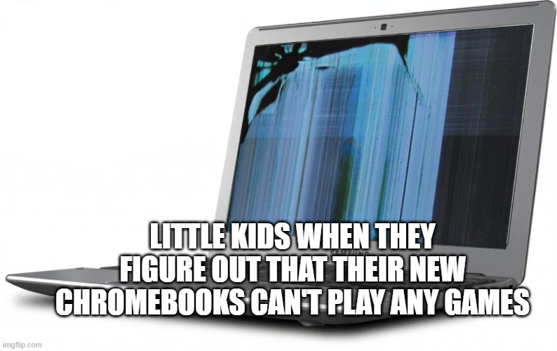 accurate | LITTLE KIDS WHEN THEY FIGURE OUT THAT THEIR NEW CHROMEBOOKS CAN'T PLAY ANY GAMES | image tagged in funny memes | made w/ Imgflip meme maker