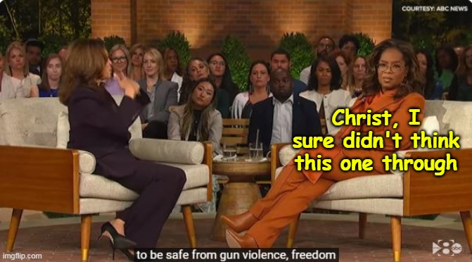 Even Ope couldn't hide her confusion | Christ, I sure didn't think this one through | image tagged in kamala word salad oprah interview meme | made w/ Imgflip meme maker