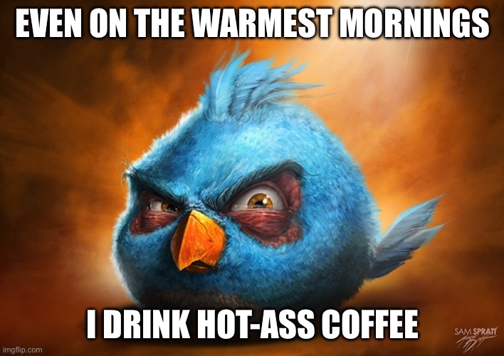 angry birds blue | EVEN ON THE WARMEST MORNINGS I DRINK HOT-ASS COFFEE | image tagged in angry birds blue | made w/ Imgflip meme maker