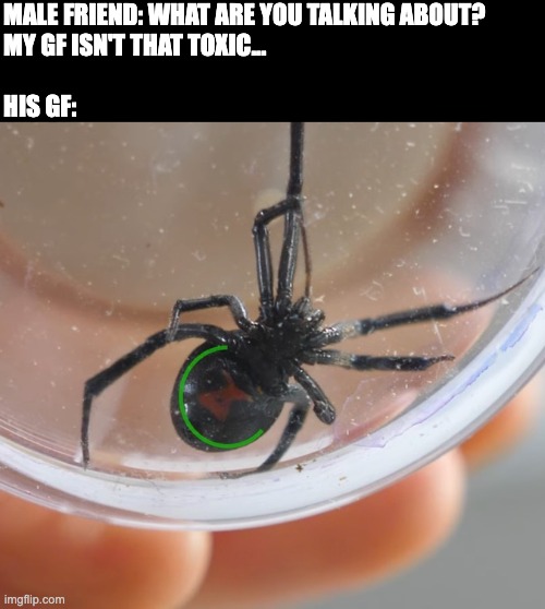 Bro is dating muffet ☠️?️ lmao | MALE FRIEND: WHAT ARE YOU TALKING ABOUT? 
MY GF ISN'T THAT TOXIC...
 
HIS GF: | image tagged in black widow,men,dating,toxic,friends,funny | made w/ Imgflip meme maker