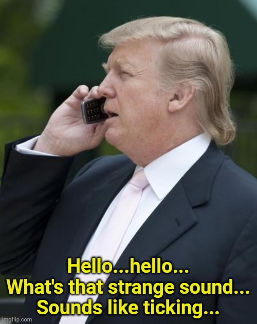 Donald shouldn't have blamed the Jews... | Hello...hello...
What's that strange sound...
Sounds like ticking... | image tagged in trump on the phone | made w/ Imgflip meme maker