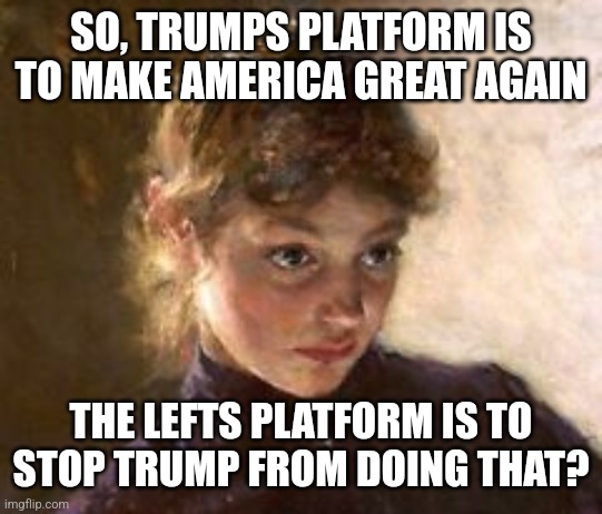 Really | SO, TRUMPS PLATFORM IS TO MAKE AMERICA GREAT AGAIN; THE LEFTS PLATFORM IS TO STOP TRUMP FROM DOING THAT? | image tagged in really,funny memes | made w/ Imgflip meme maker