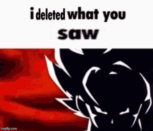 I deleted what you saw | image tagged in i deleted what you saw | made w/ Imgflip meme maker