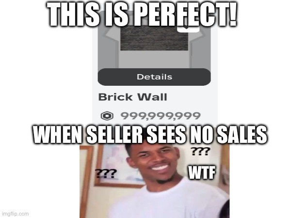 No shit it’s 999,999,999 robux ? | THIS IS PERFECT! WHEN SELLER SEES NO SALES; WTF | image tagged in budget,expensive,funny,lol | made w/ Imgflip meme maker