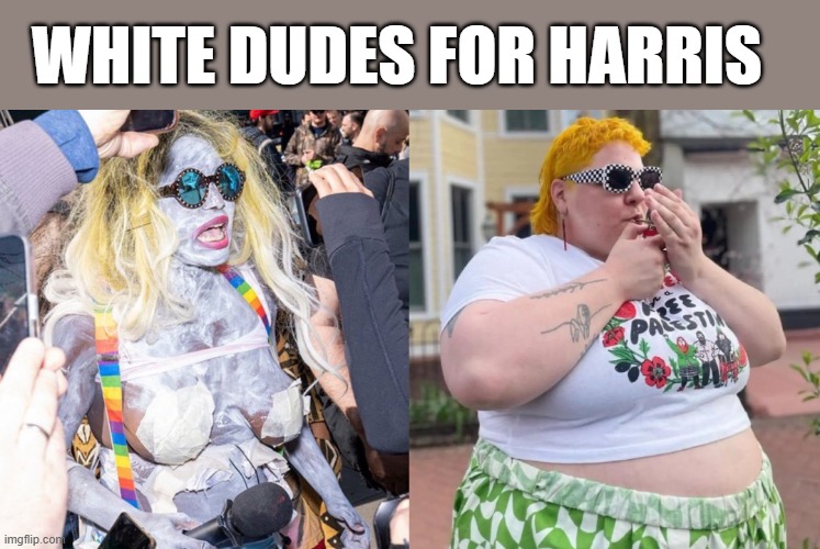 White Dudes for harris, the "free palestine" division | WHITE DUDES FOR HARRIS | image tagged in white dudes for harris,democrats,jew hatred | made w/ Imgflip meme maker