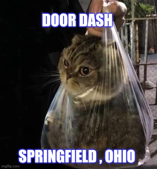 door dash meme | DOOR DASH; SPRINGFIELD , OHIO | image tagged in ohio | made w/ Imgflip meme maker