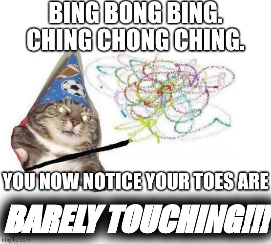 Wizard Cat | BING BONG BING. CHING CHONG CHING. YOU NOW NOTICE YOUR TOES ARE; BARELY TOUCHING!!! | image tagged in wizard cat | made w/ Imgflip meme maker