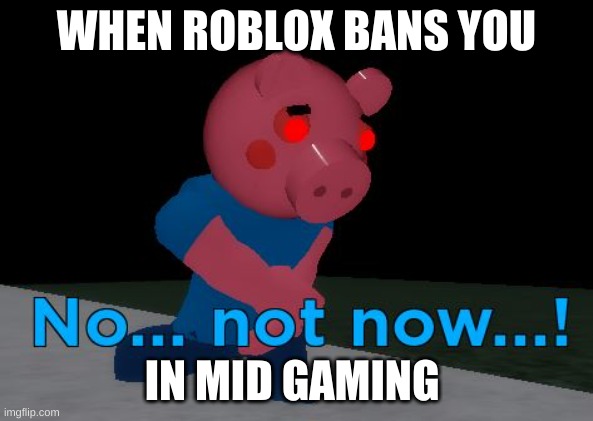 Not Now! George Pig | WHEN ROBLOX BANS YOU; IN MID GAMING | image tagged in not now george pig | made w/ Imgflip meme maker