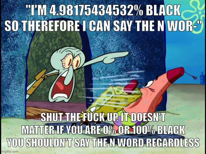 Why couldn't we just have banned it overall like we did with the k slur | "I'M 4.98175434532% BLACK SO THEREFORE I CAN SAY THE N WOR-"; SHUT THE FUCK UP, IT DOESN'T MATTER IF YOU ARE 0% OR 100% BLACK YOU SHOULDN'T SAY THE N WORD REGARDLESS | image tagged in squidward screaming | made w/ Imgflip meme maker