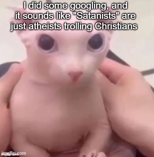 bingus | I did some googling, and it sounds like "Satanists" are just atheists trolling Christians | image tagged in bingus | made w/ Imgflip meme maker