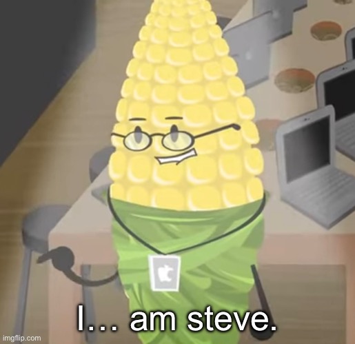 So I was watching this video about II and cobs said this WHY IS THIS FUNNY | I… am steve. | made w/ Imgflip meme maker