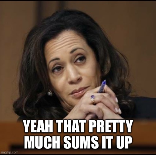 Kamala Harris  | YEAH THAT PRETTY MUCH SUMS IT UP | image tagged in kamala harris | made w/ Imgflip meme maker