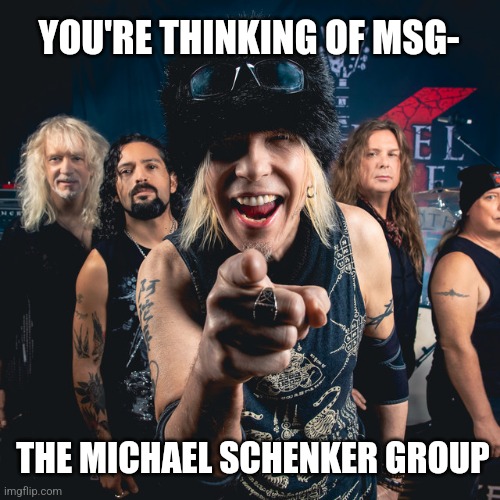 YOU'RE THINKING OF MSG- THE MICHAEL SCHENKER GROUP | made w/ Imgflip meme maker