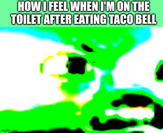 I'm so sorry... | HOW I FEEL WHEN I'M ON THE TOILET AFTER EATING TACO BELL | image tagged in angry birds,bad piggies,piggy tales,saturated meme,taco bell,bad meme | made w/ Imgflip meme maker