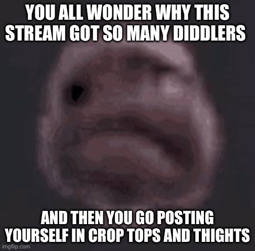 Do the math | YOU ALL WONDER WHY THIS STREAM GOT SO MANY DIDDLERS; AND THEN YOU GO POSTING YOURSELF IN CROP TOPS AND THIGHTS | image tagged in the gas is coming | made w/ Imgflip meme maker