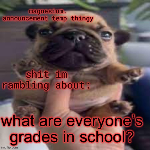 BABBAB are mine (fr) | what are everyone’s grades in school? | image tagged in pug temp | made w/ Imgflip meme maker