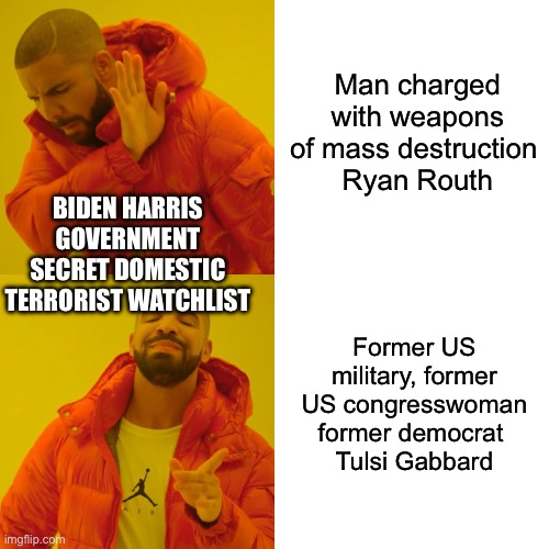 Obvious choice | Man charged with weapons of mass destruction 
Ryan Routh; BIDEN HARRIS GOVERNMENT SECRET DOMESTIC TERRORIST WATCHLIST; Former US military, former US congresswoman former democrat 
Tulsi Gabbard | image tagged in memes,drake hotline bling | made w/ Imgflip meme maker