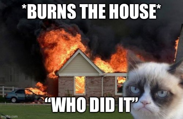 Burn Kitty | *BURNS THE HOUSE*; “WHO DID IT” | image tagged in memes,burn kitty,grumpy cat | made w/ Imgflip meme maker